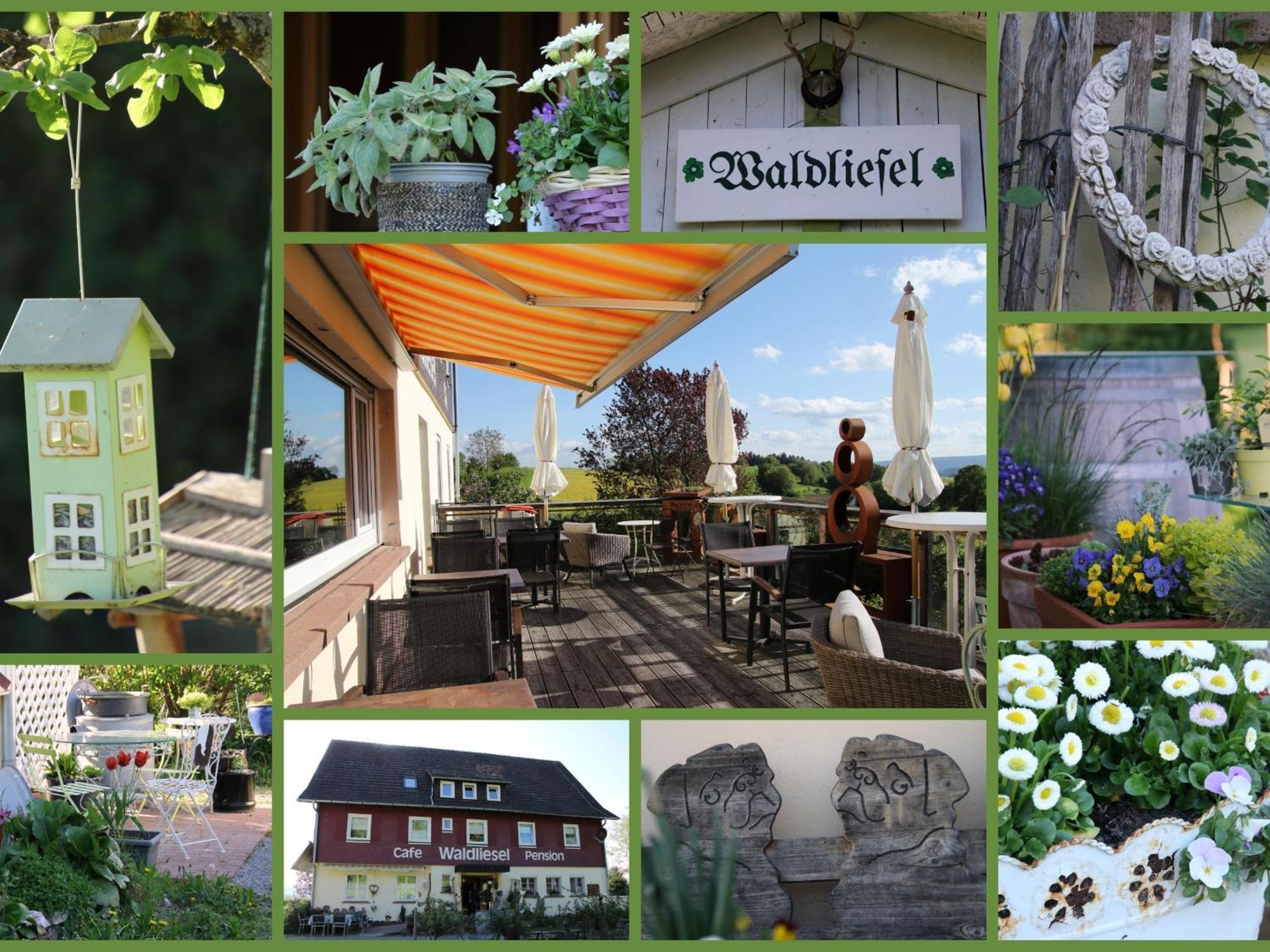 Pension Waldliesel Dornstetten Exteriér fotografie